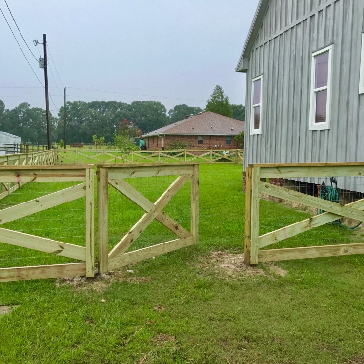 Day 5 Fence Progress 3